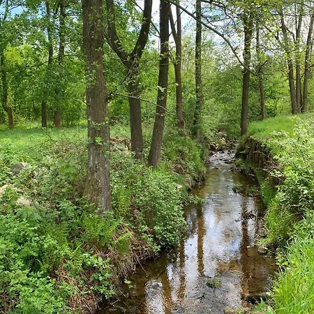 Agroturystyka Sokoliki Homestay *