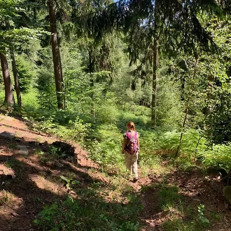 Habitación en casa particular Agroturystyka Sokoliki Karpniki