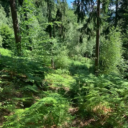 Agroturystyka Sokoliki 民宿 Karpniki