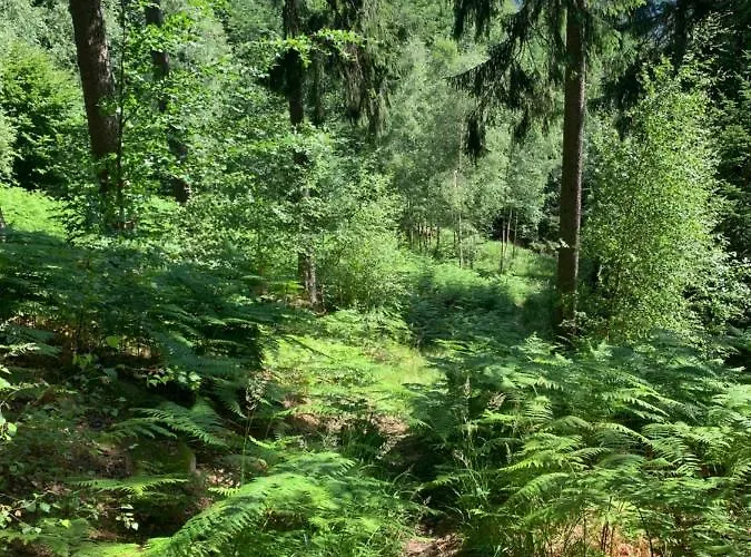 Agroturystyka Sokoliki Habitación en casa particular Karpniki